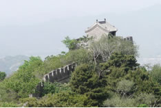 Ľ�����L(zh��ng)���L(f��ng)���D