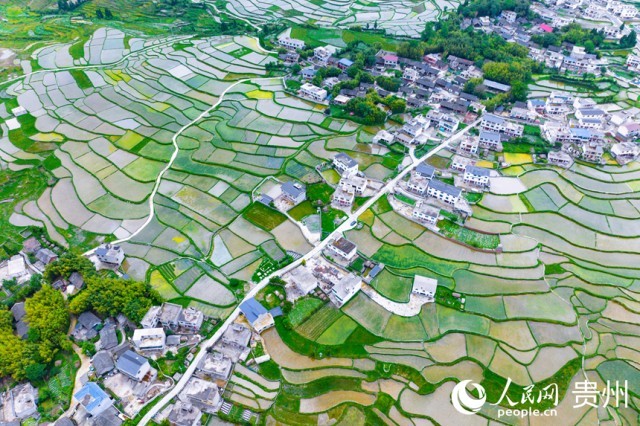 �����F��л�Ϫ�^(q��)��������������W(w��ng)ӛ�� Ϳ���z